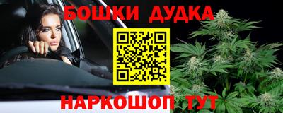 тгк Новокубанск