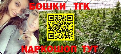 тгк Новокубанск