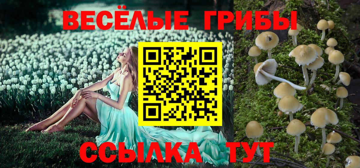 Псилоцибиновые грибы мухоморы  где продают наркотики  Северск  Вход с VPN 